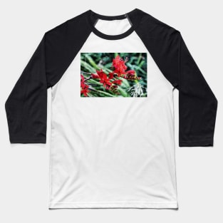 Montbretia Baseball T-Shirt